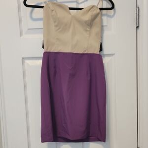 NWT Sexy Mini Purple and Cream Dress